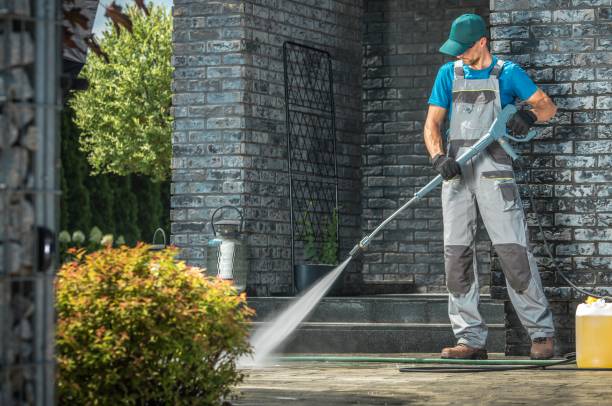 Animal Enclosure Cleaning in Milton, WV