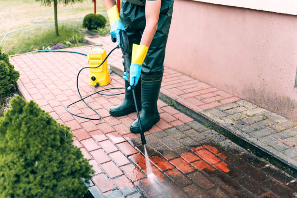 Best Driveway Pressure Washing  in Milton, WV